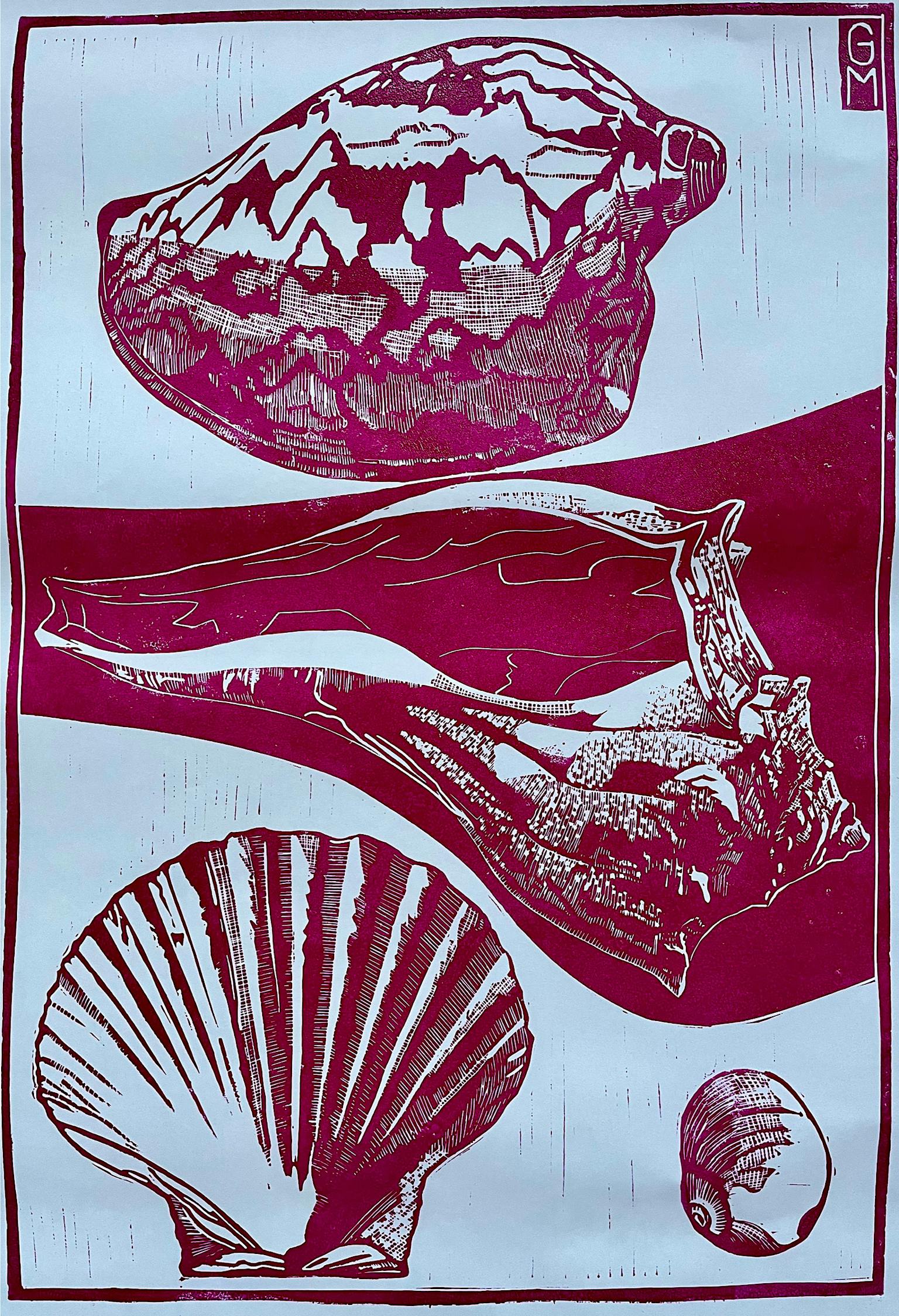 Image for entry 'noble volute, whelk and scallop'
