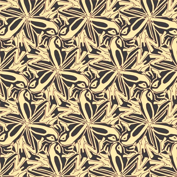 Image for entry 'Frogs Undergo Metamorphosis'