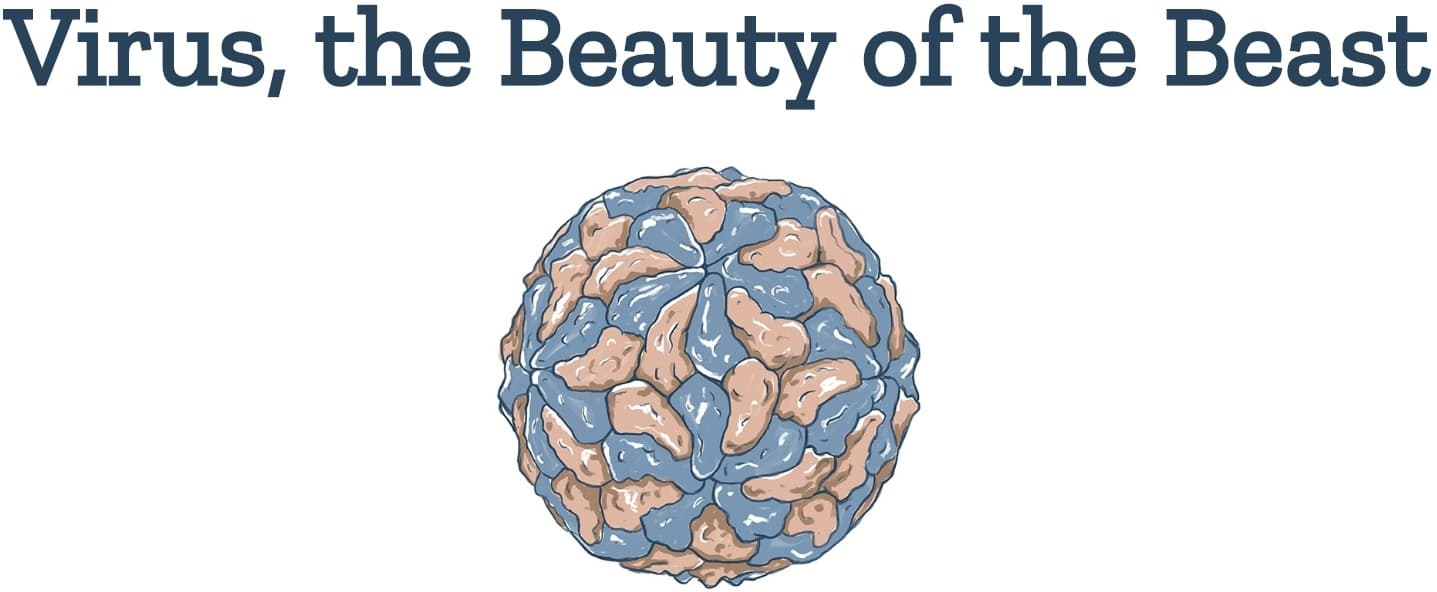 Image for submission 'Hamish Todd'