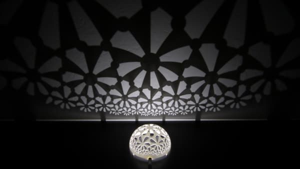 Image for entry 'Illuminating hyperbolic geometry'