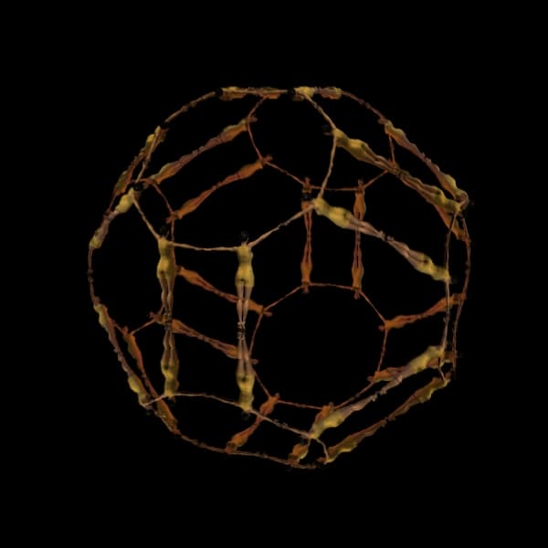 Image for entry 'The Human Kaleidoscope'