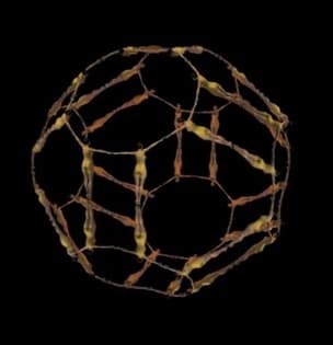 Image for submission 'Mike Naylor'