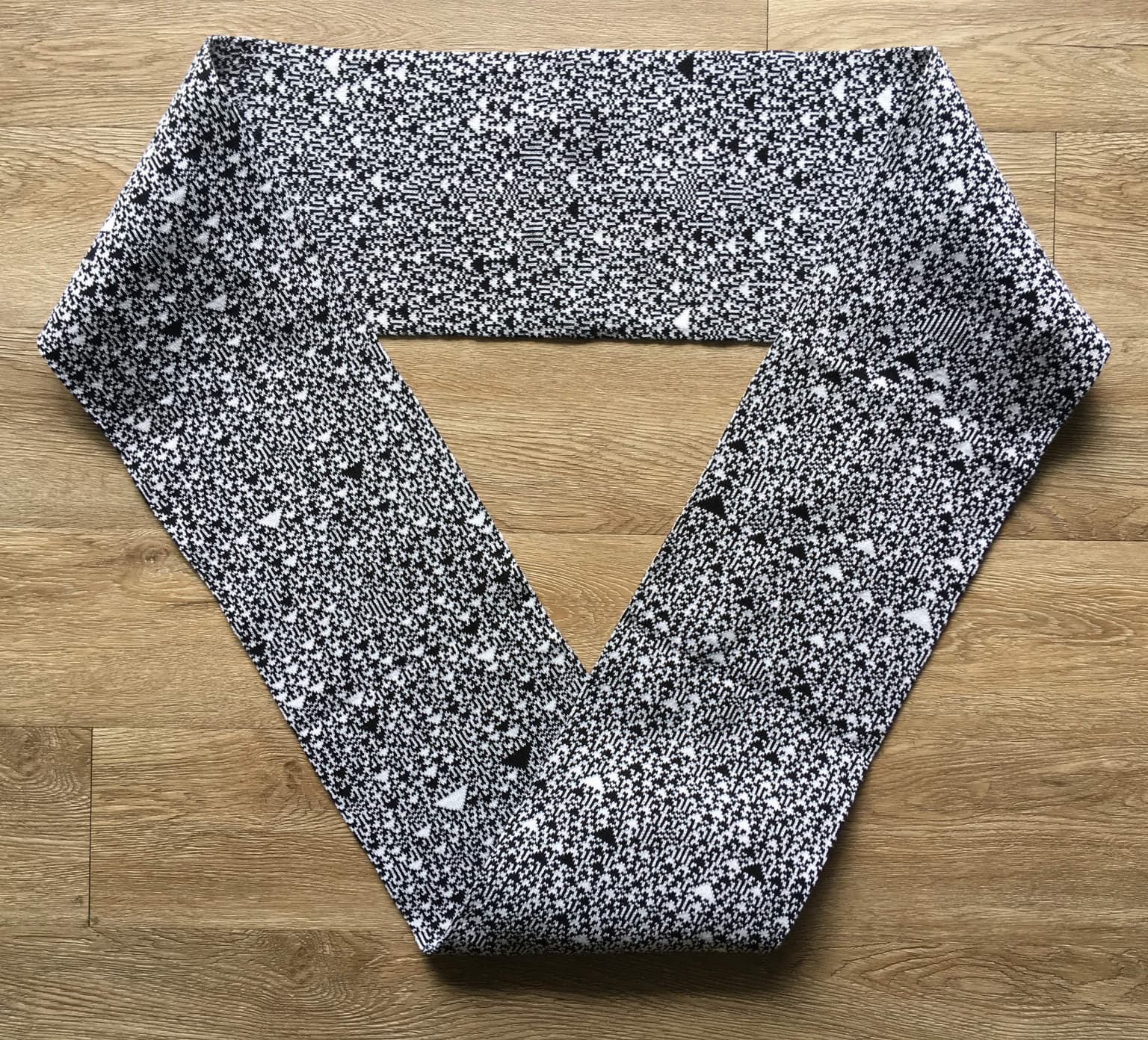 Image for submission 'Sabetta Matsumoto, Henry Segerman, Fabienne Serriere'