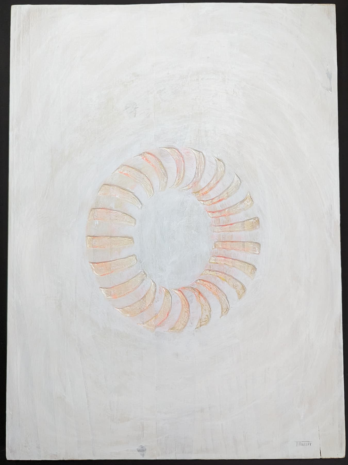 Image for entry 'Untitled Torus'