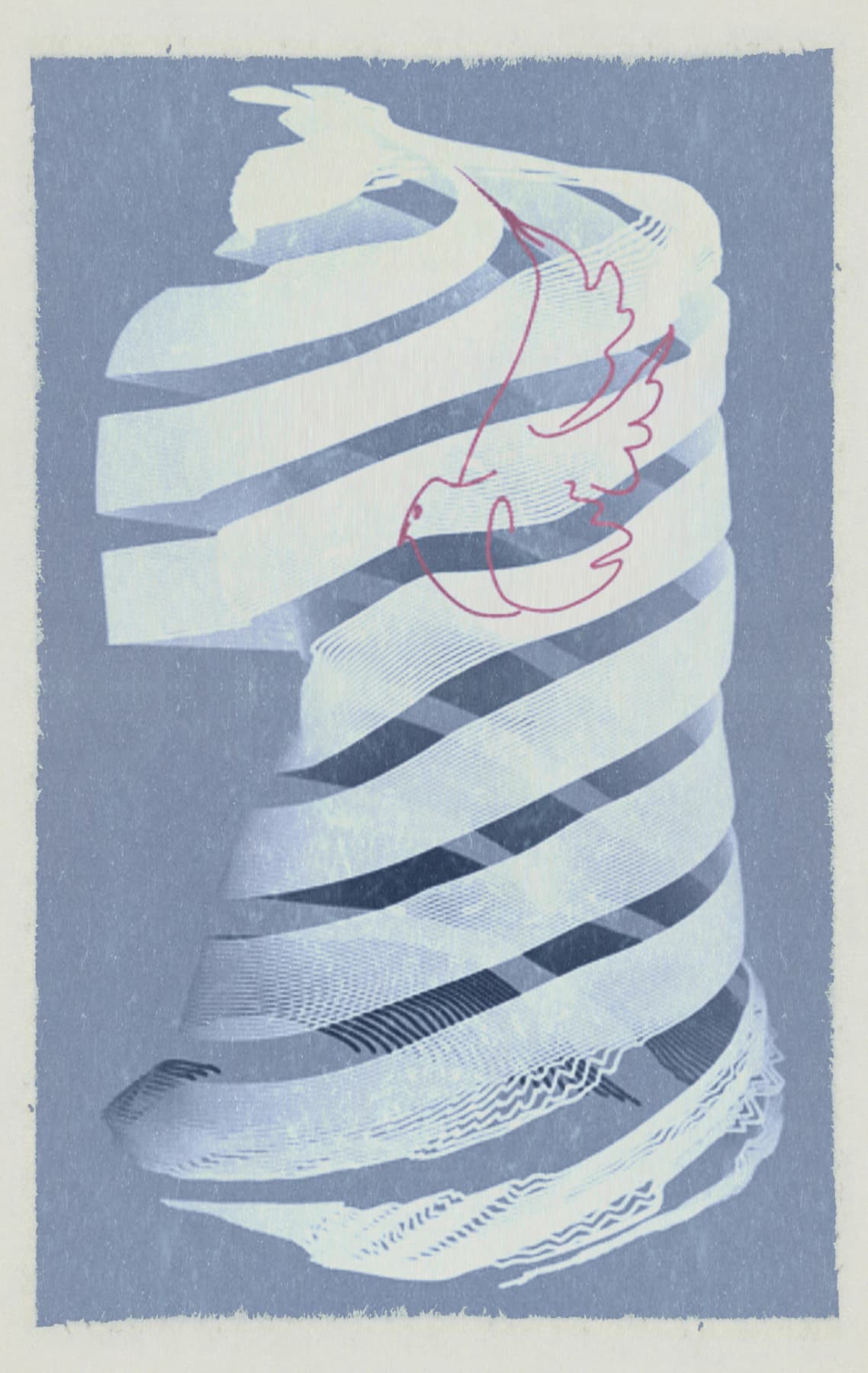 Image for entry 'Picasso’s Dove on Venus'