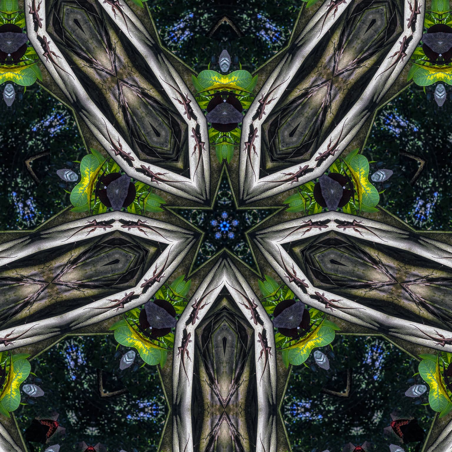 Image for entry 'Pentagon Lizard Tessellation'