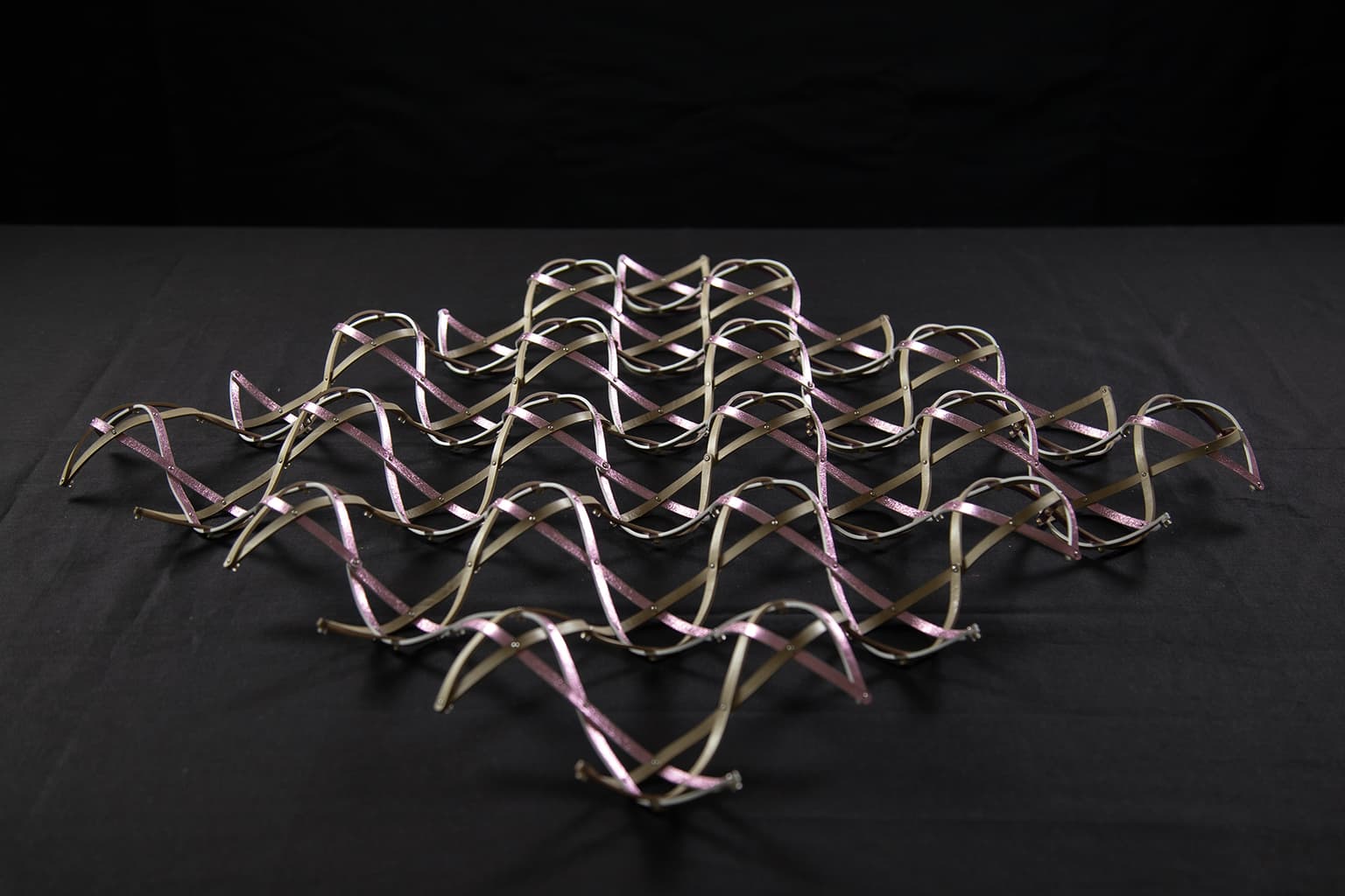 Image for entry 'Interlaced bigons'