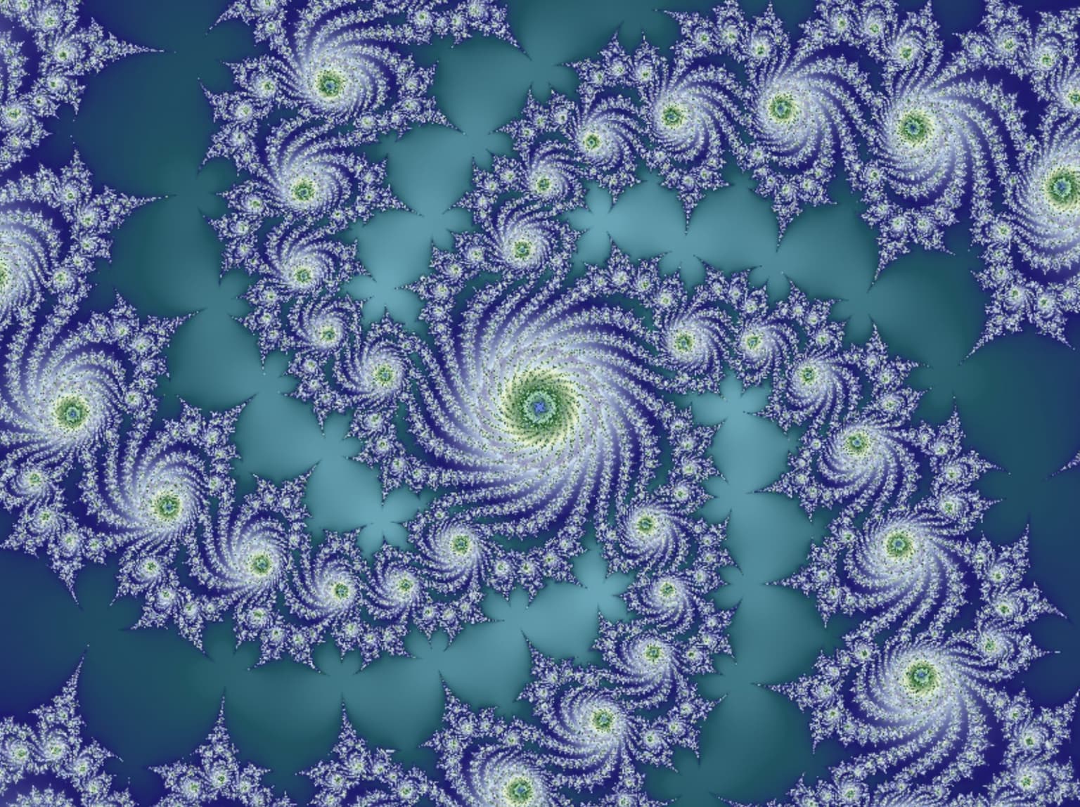 Image for entry 'Hibiscus'