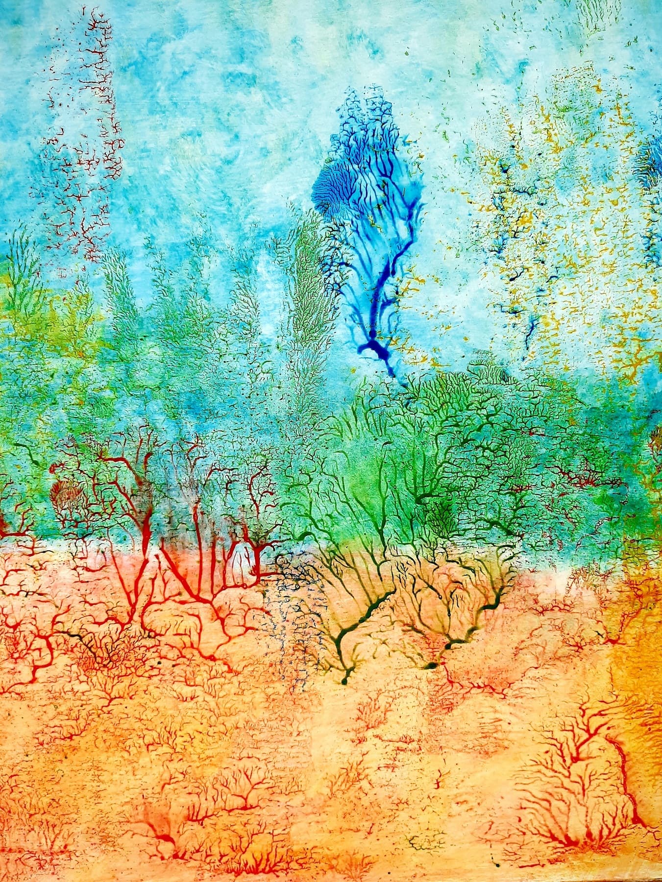 Image for entry 'The Hele-Shaw Coral Reef'