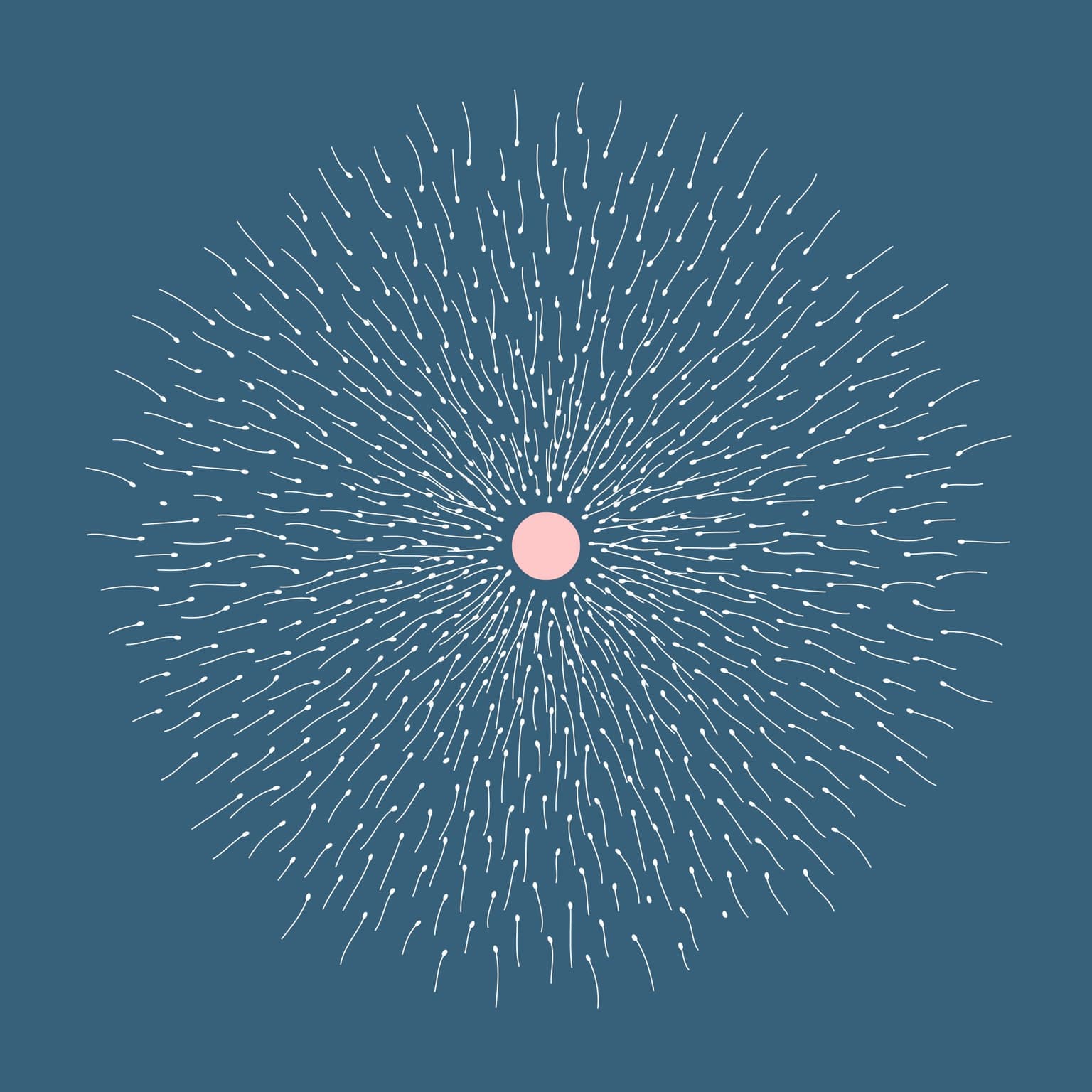 Image for entry 'Seeds of Lifelines'