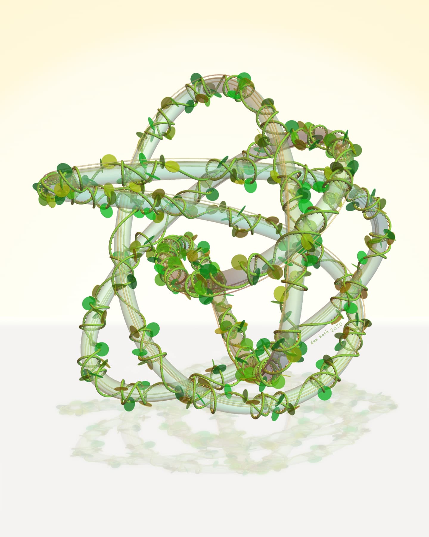 Image for entry 'Vine Superloop'