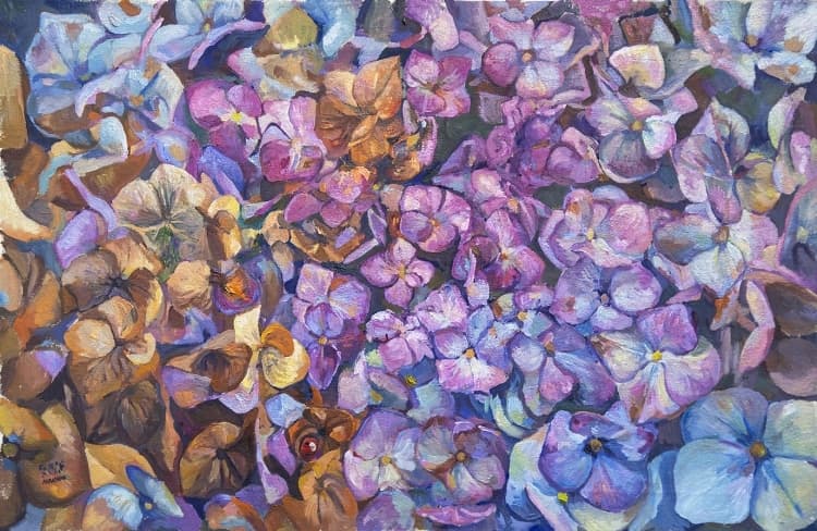 Image for entry 'Hydrangea in Concave Perspective'