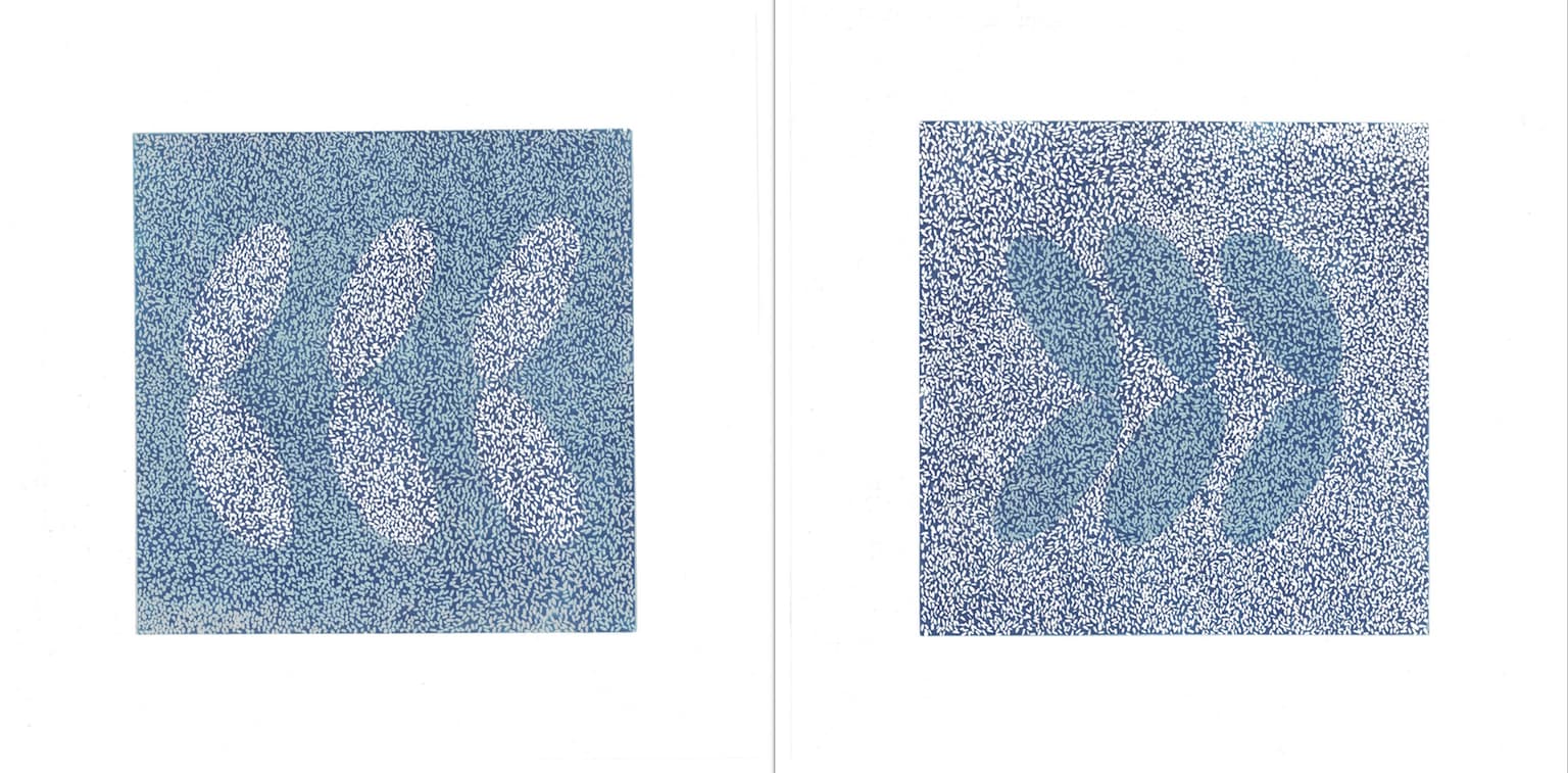 Image for entry 'Entree of Sushi (diptych)'