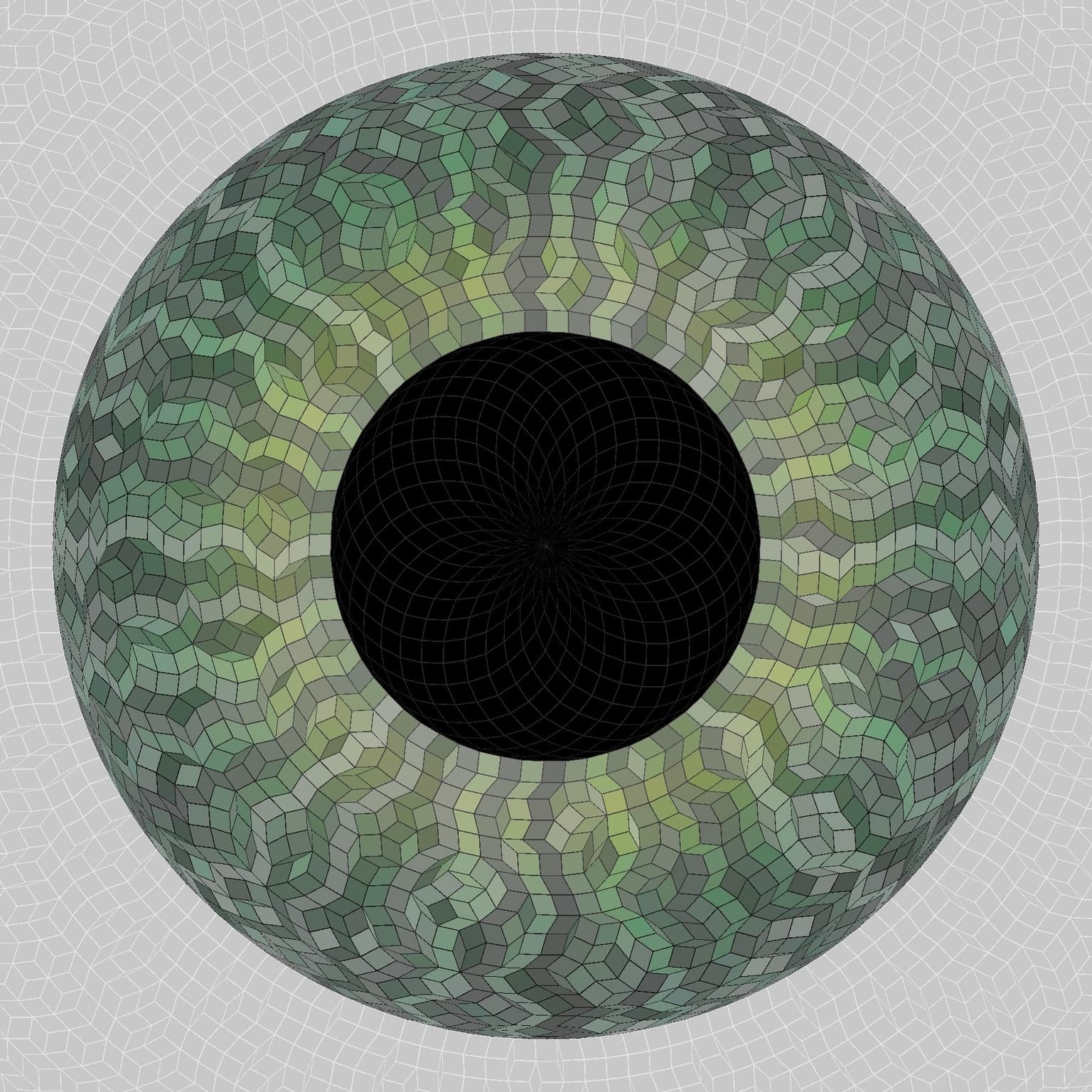 Image for entry 'Iris 2020'