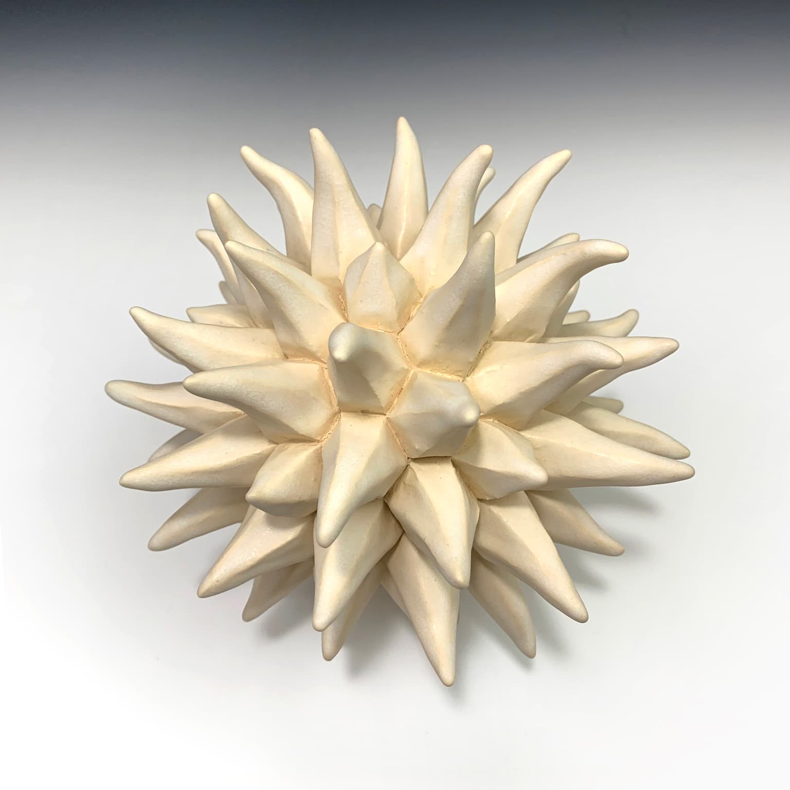 Image for entry 'Fungus Form'