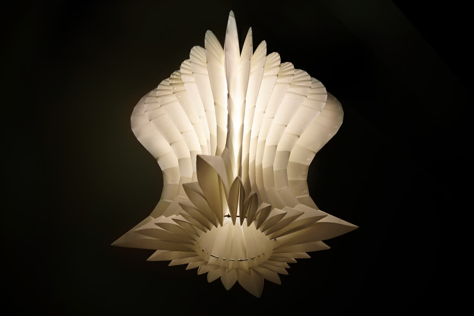 Image for entry 'Punica'