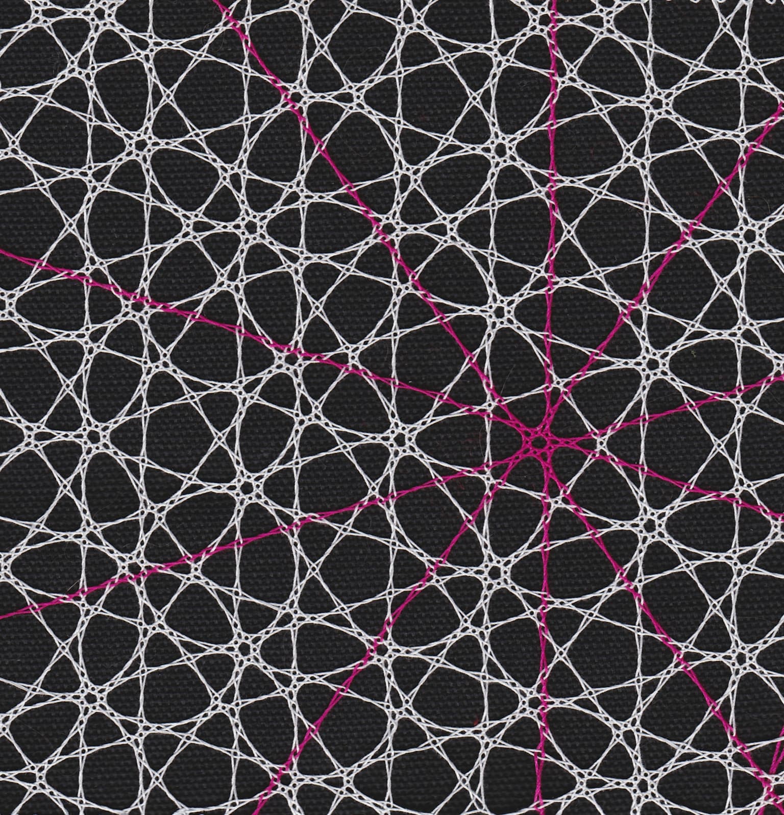 Image for entry 'Ammann's spiderweb'