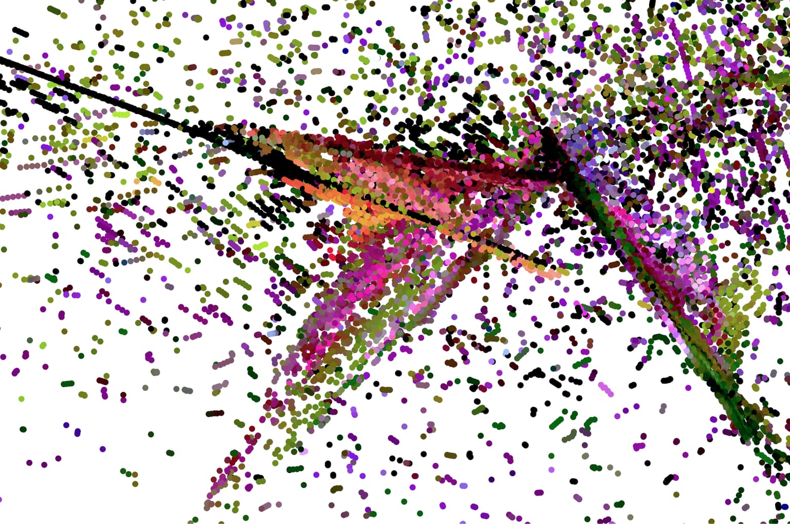 Image for entry 'A Butterfly Through Time'
