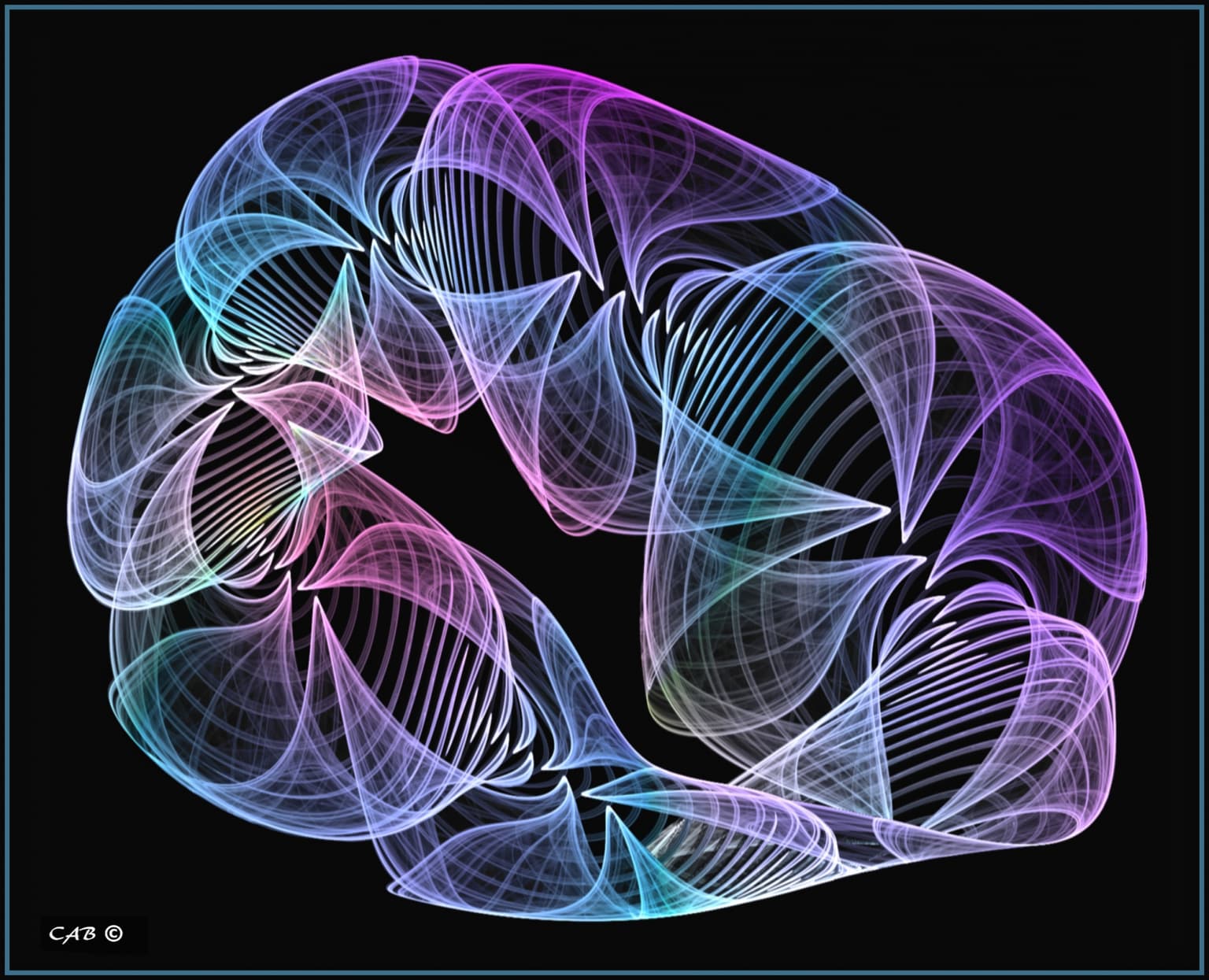 Image for entry 'Jelly Fish'