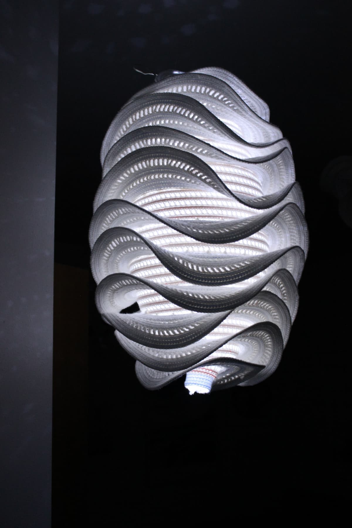 Image for entry 'seed pod shaped lamp with spiraling hyperbolic band'