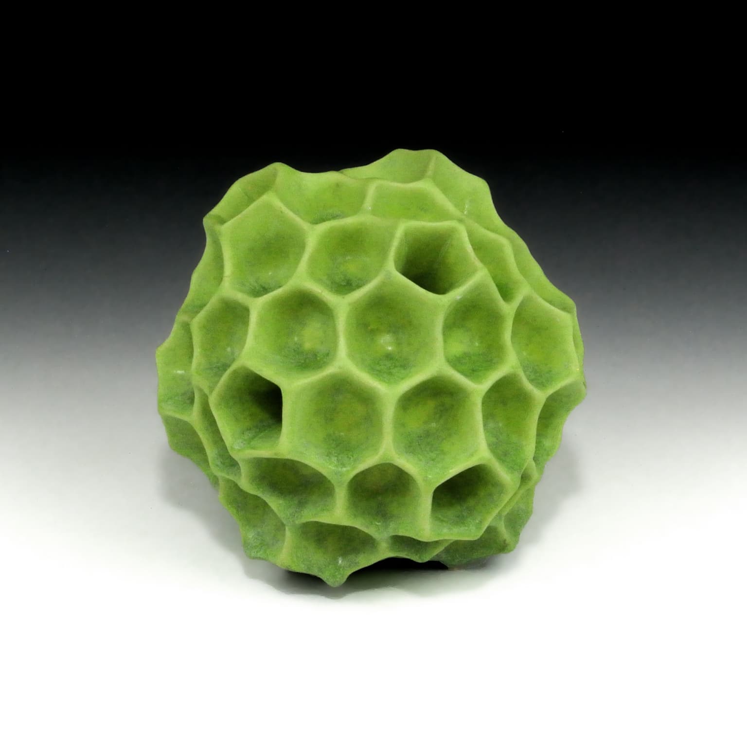 Image for entry 'Pollen/Seed Form'