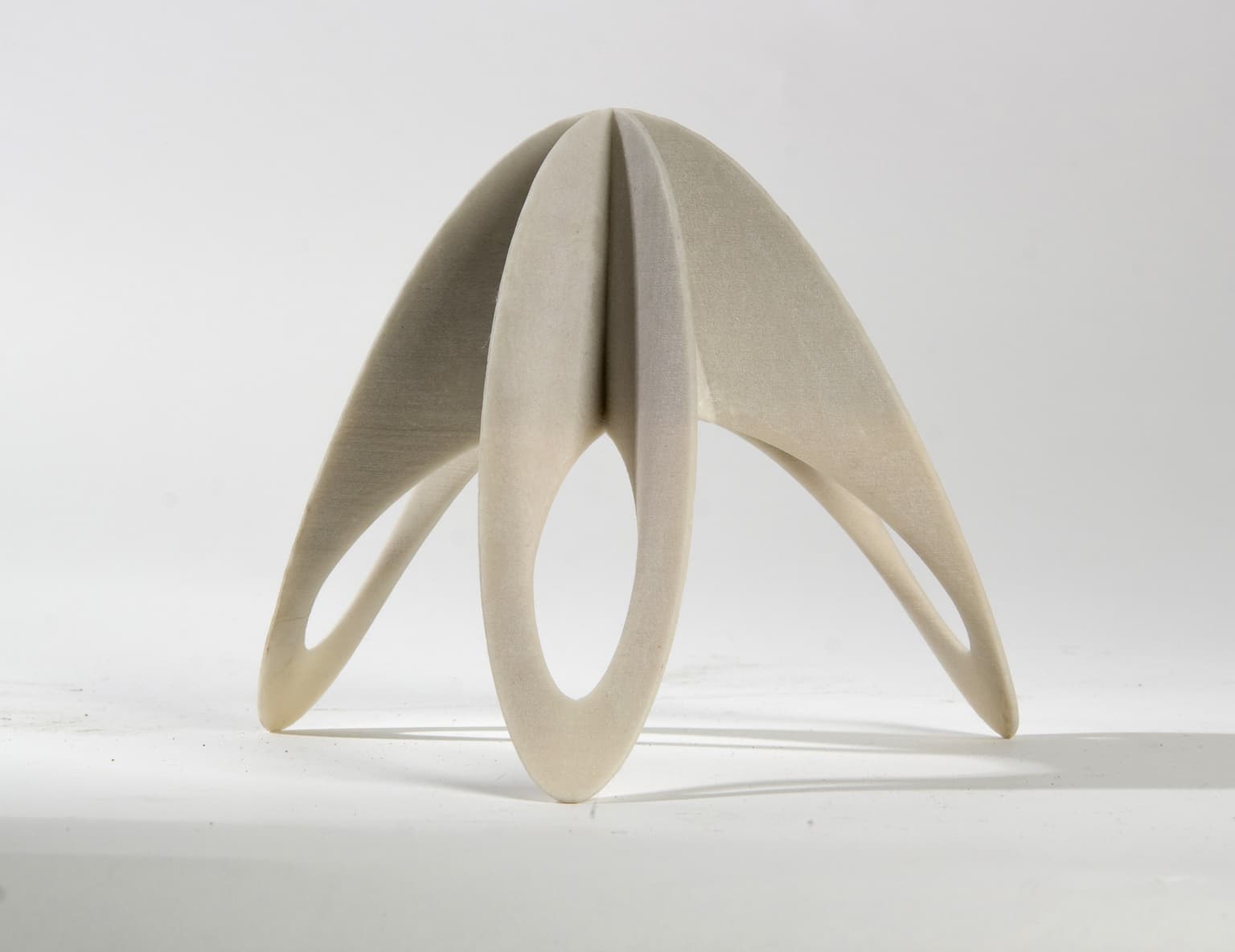 Image for entry 'Triboid'