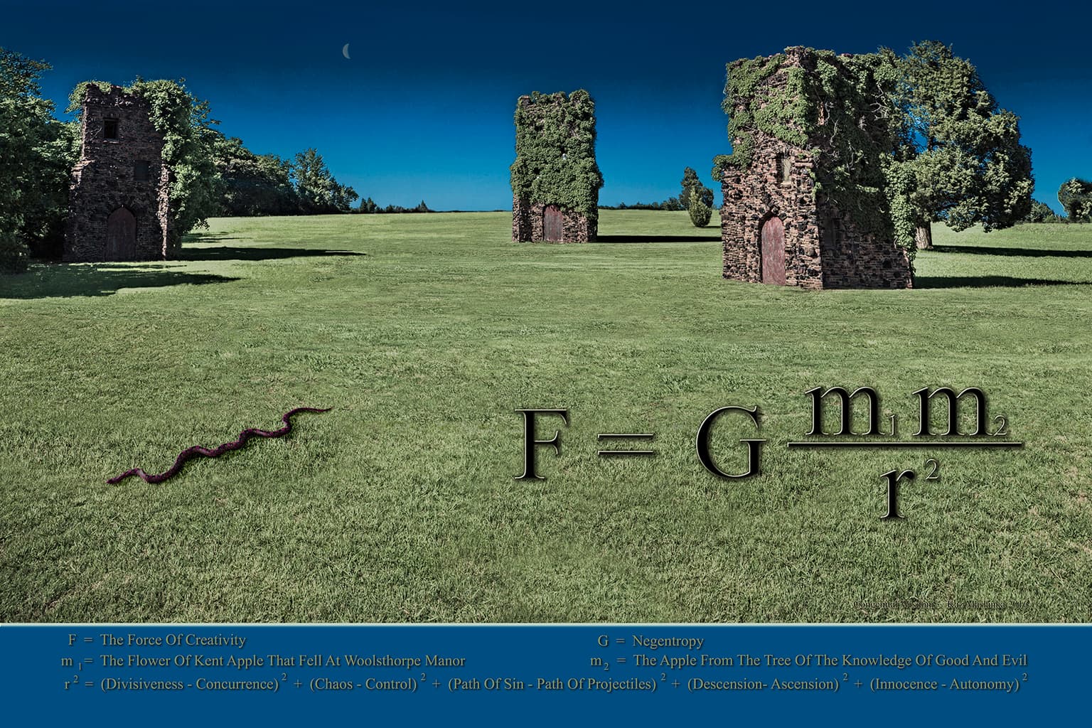 Image for entry 'Congenital Wisdom'