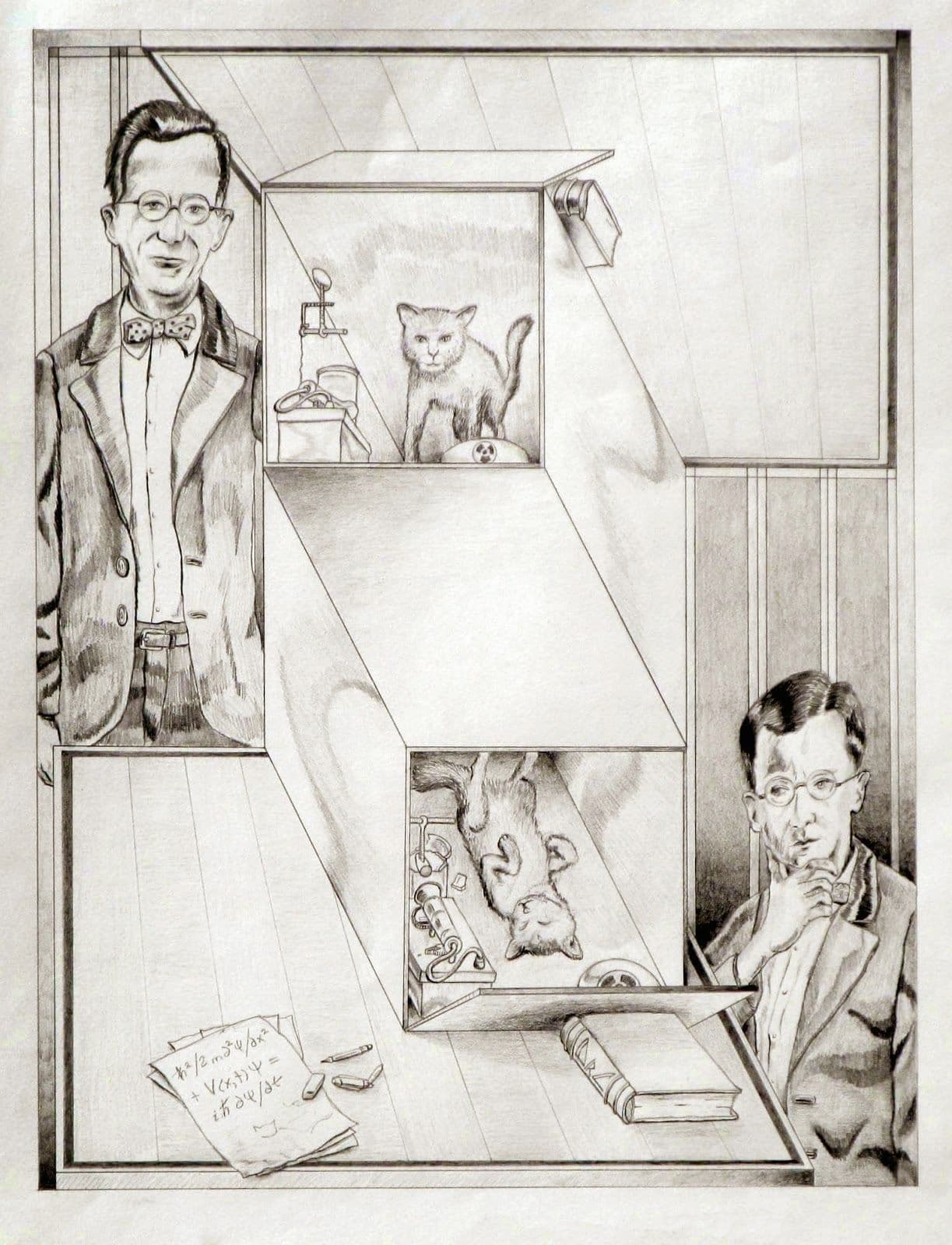 Image for entry 'The Schrodingers' Cats'