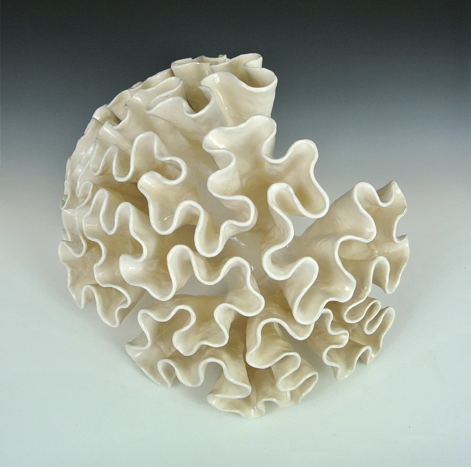 Image for entry 'Radial Development'