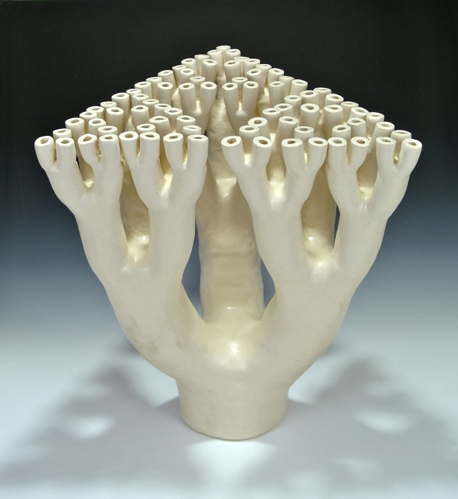 Image for entry 'Trifurcation'