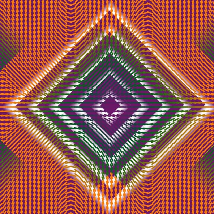 Image for entry 'A Mathematicians Zarape'