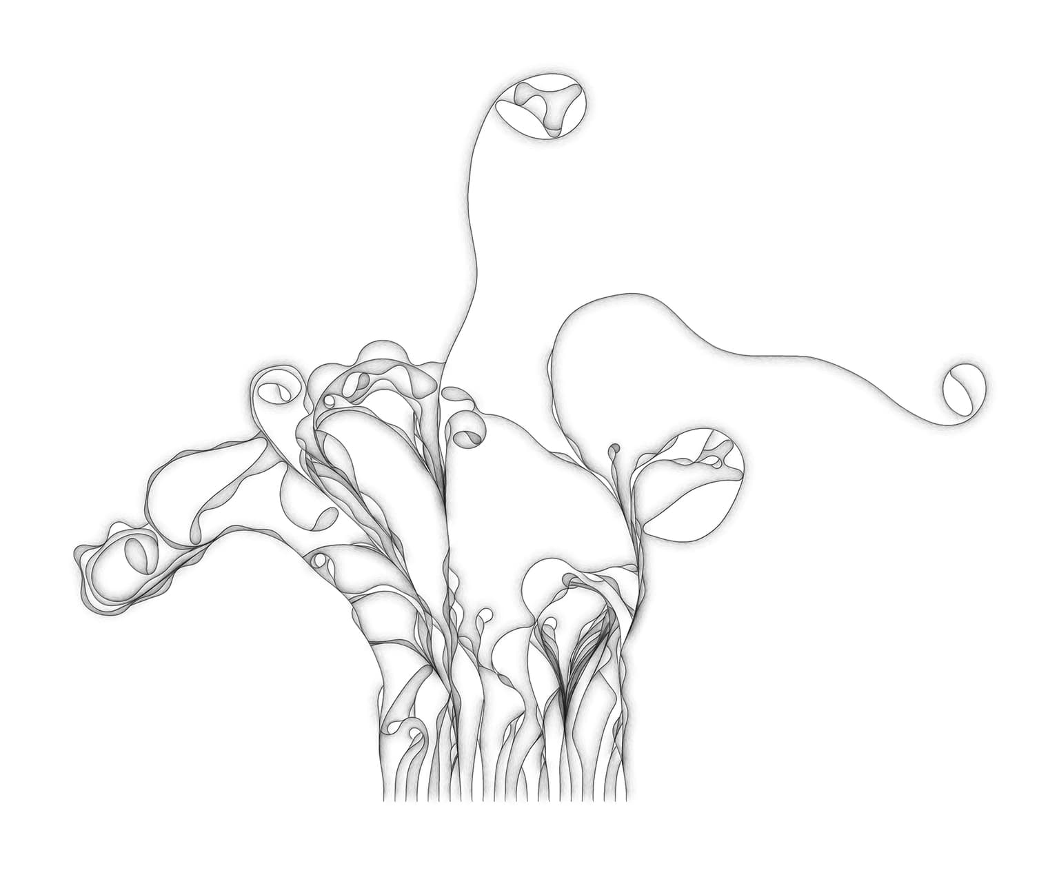 Image for entry 'untitled'