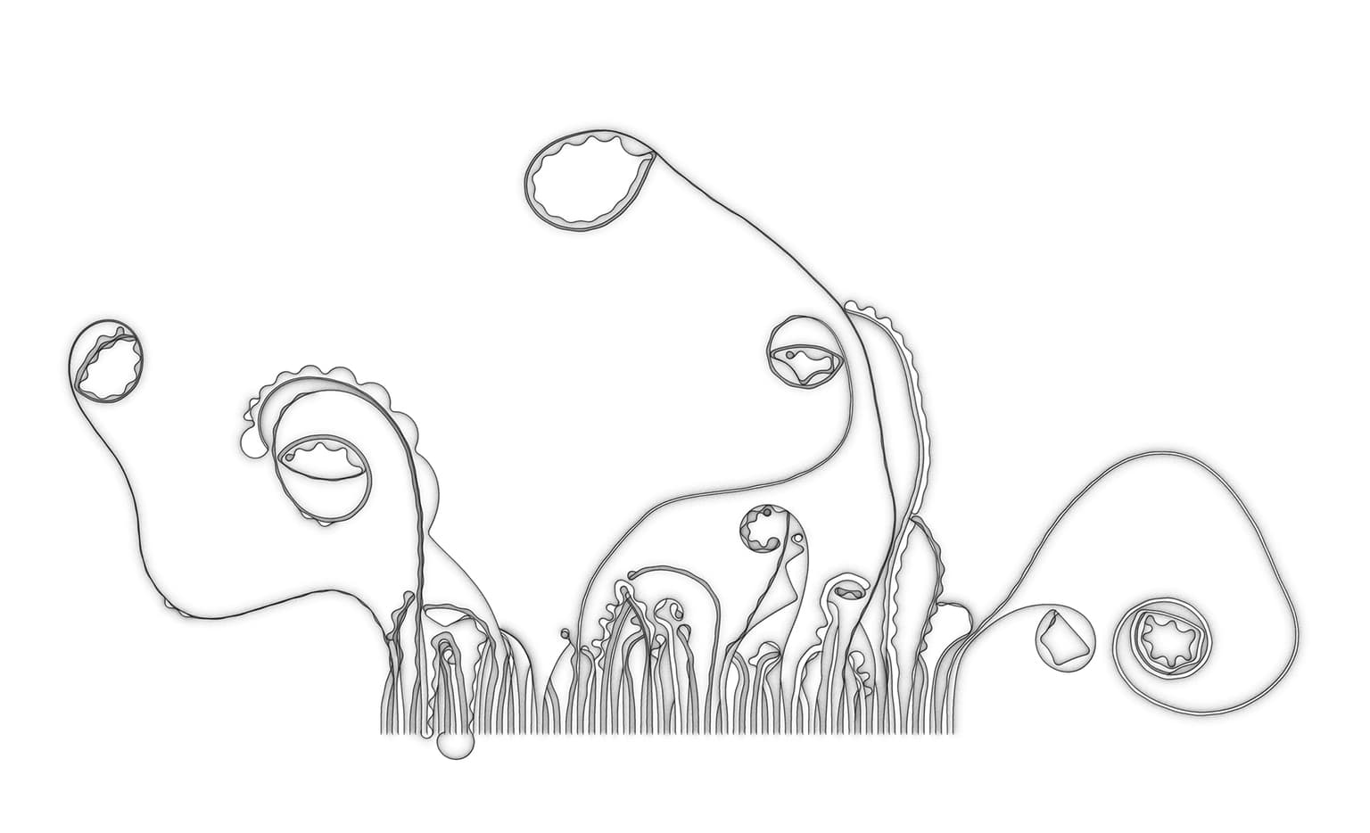 Image for entry 'untitled'