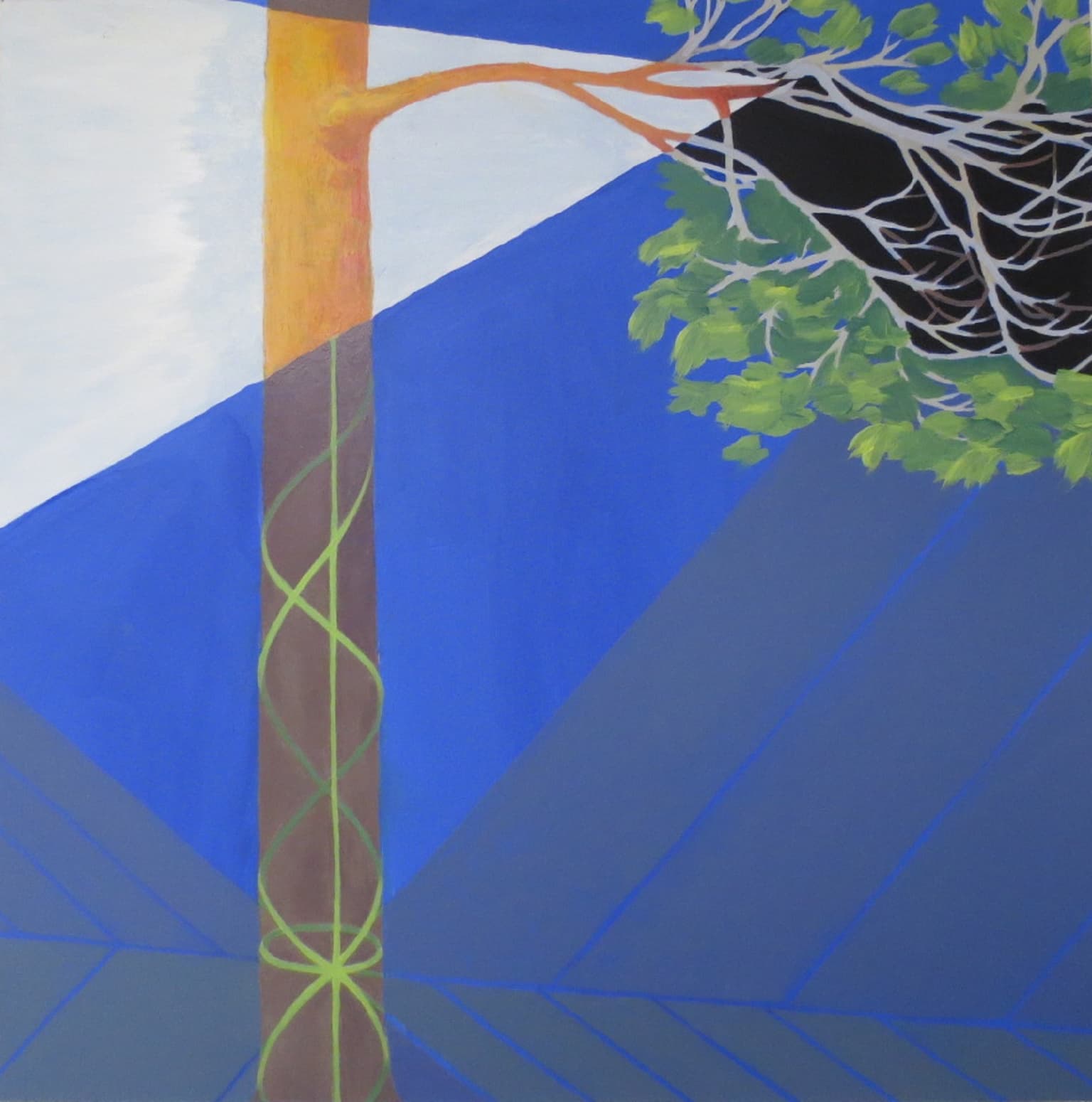 Image for entry 'Lie tree'