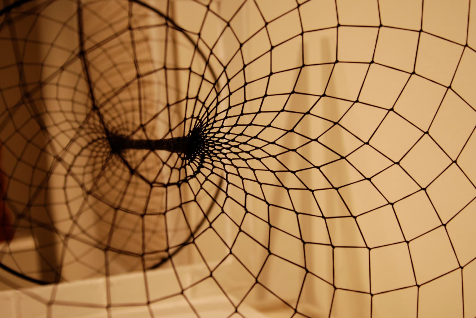 Image for entry 'Asymptotic Journeys: Wormholes'