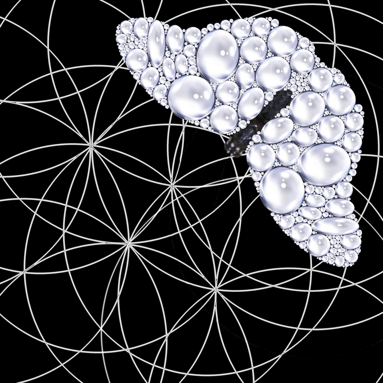 Image for entry 'Tangent bodies'