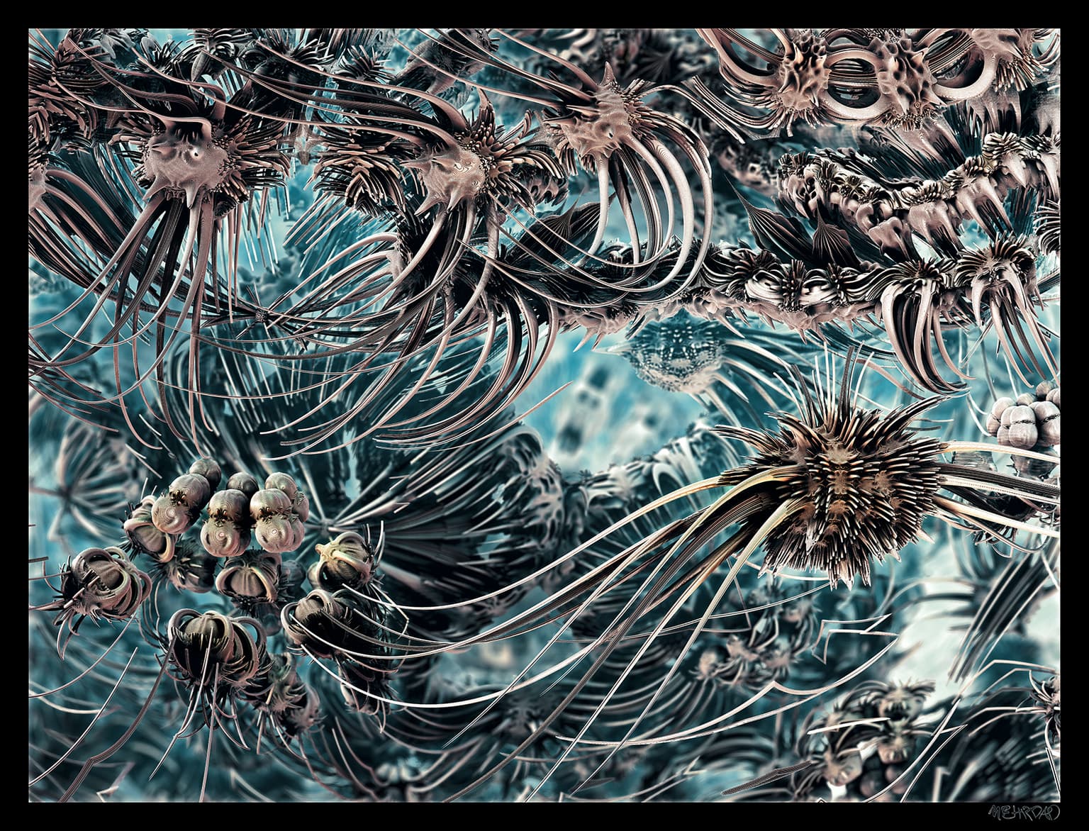 Image for entry 'First Ice Age'