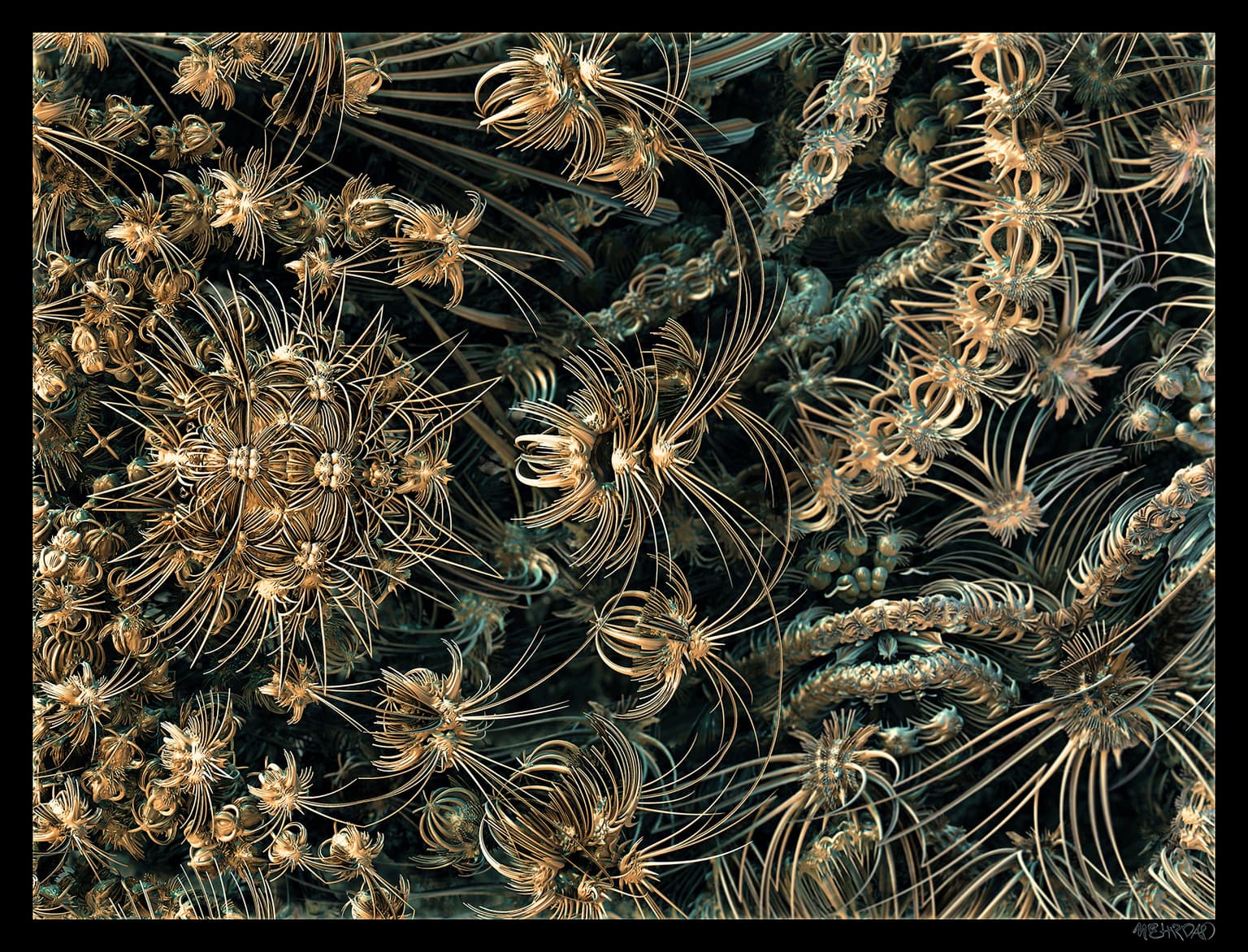Image for entry 'My Ancient Ancestors'