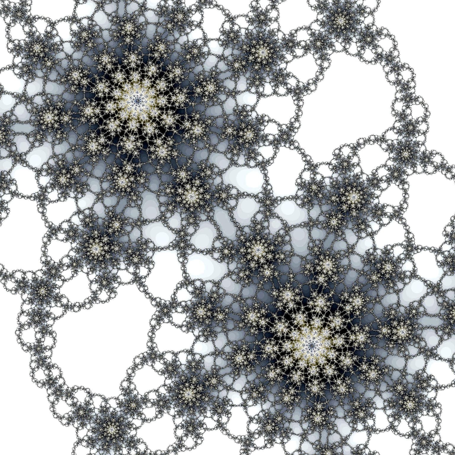 Image for entry 'Gray Julia'