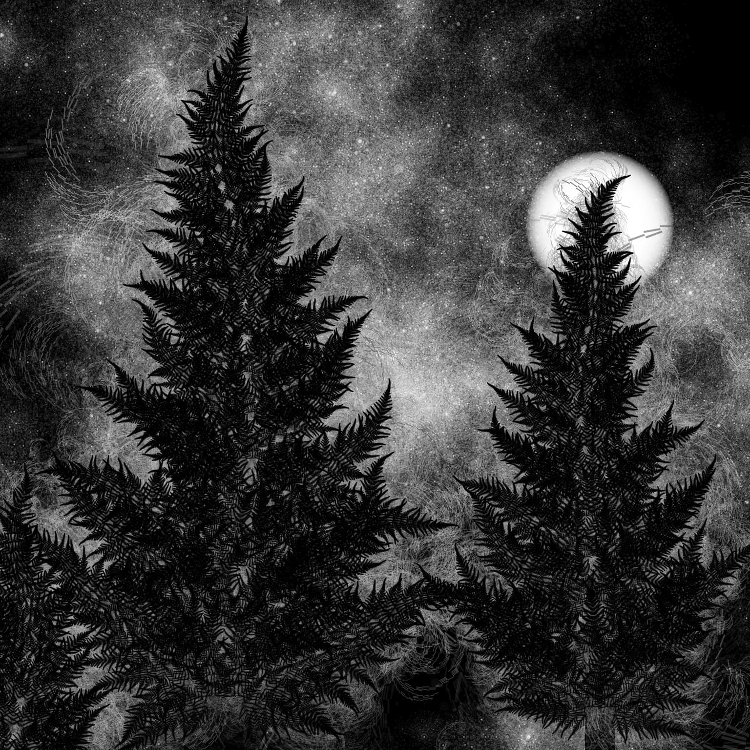 Image for entry 'Starry Pines'
