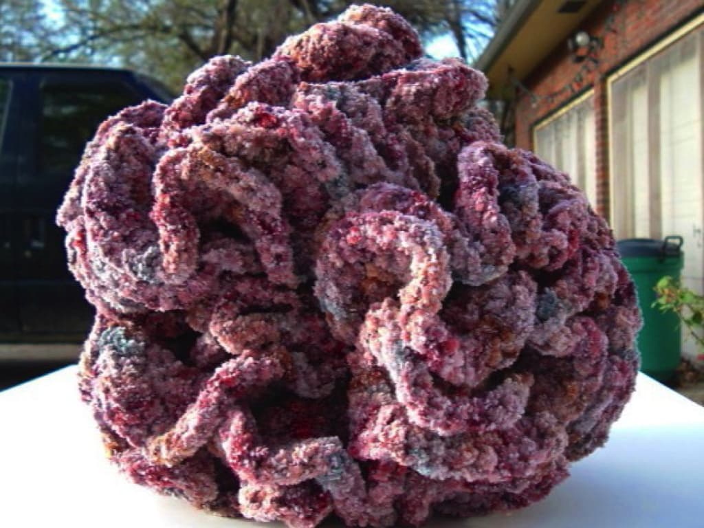 Image for entry 'Carpet Crawler'