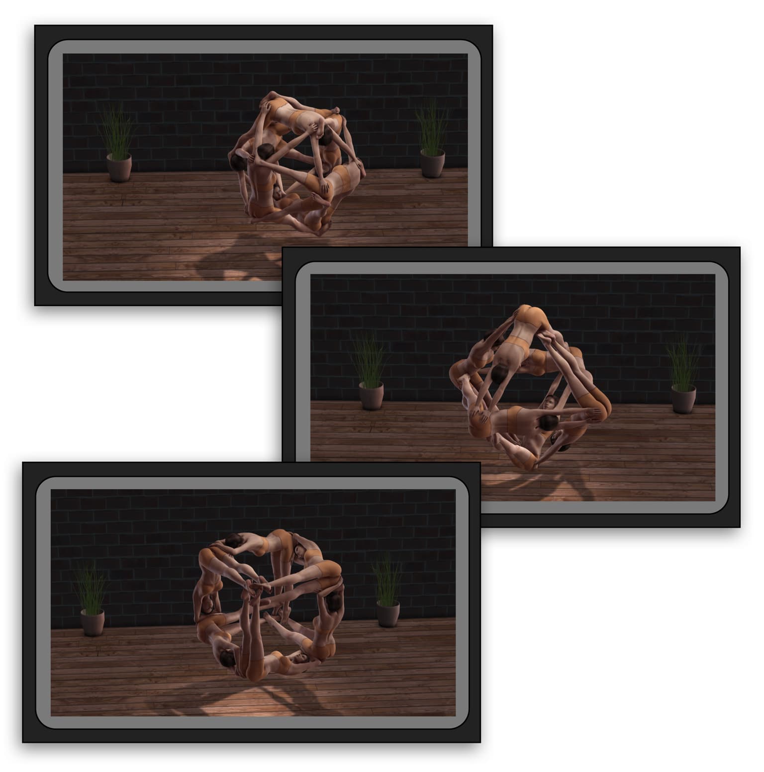 Image for entry 'Human Platonic Transform'