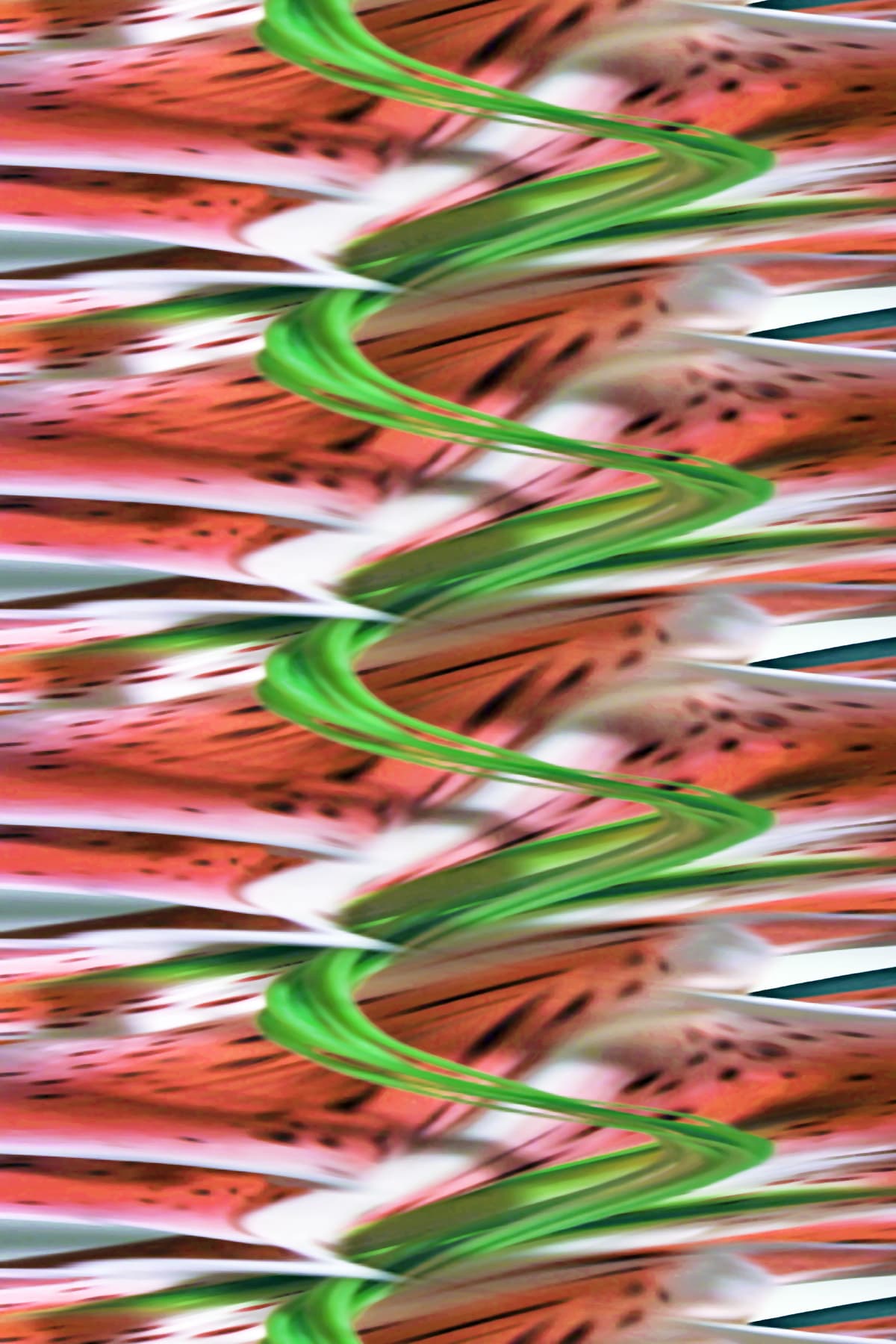 Image for entry 'flora #1 (time slice)'