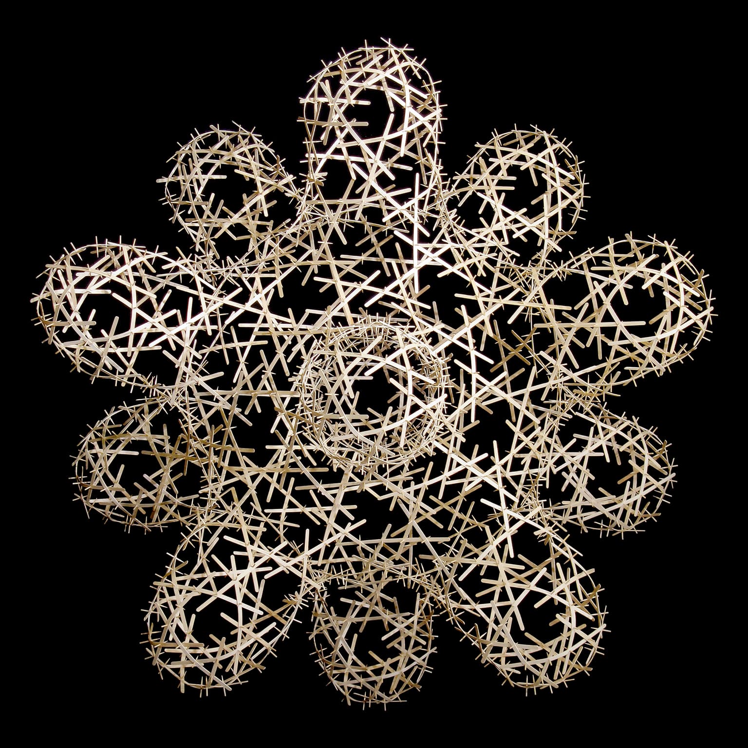 Image for entry 'Hyperbolic Coffee Cactus'
