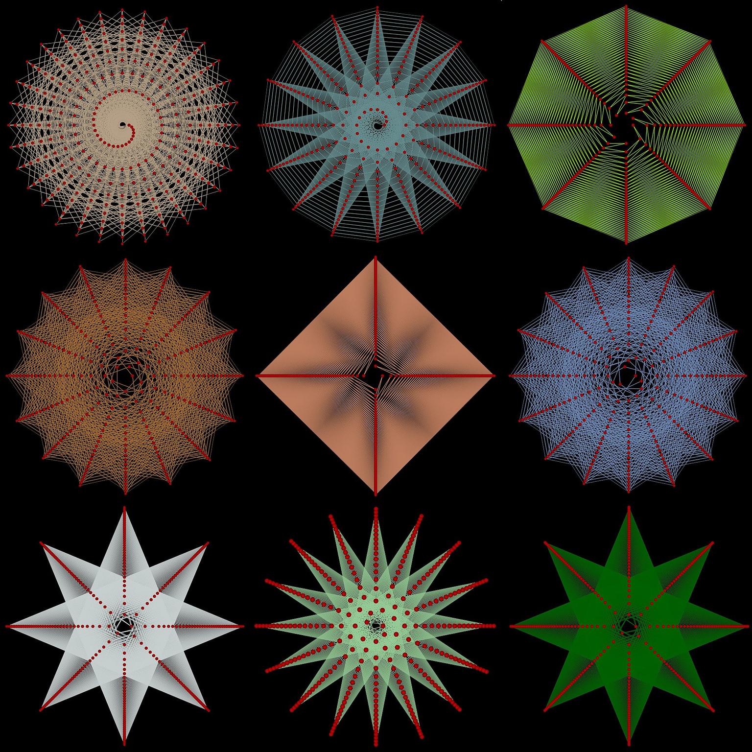 Image for entry 'Phyllotaxis, Nature and Numbers: 3-increment'