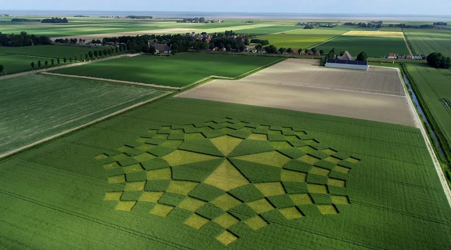 Image for entry '"Conformal Chessboards in a Crop Field"'