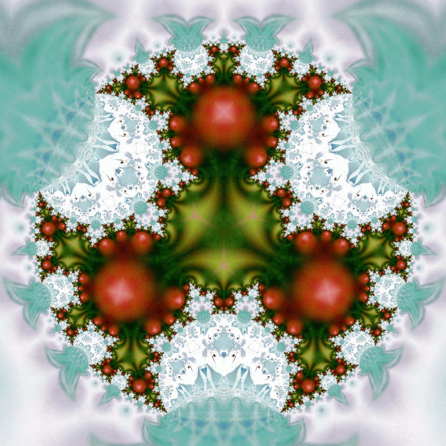 Image for entry 'Fractal Holly'