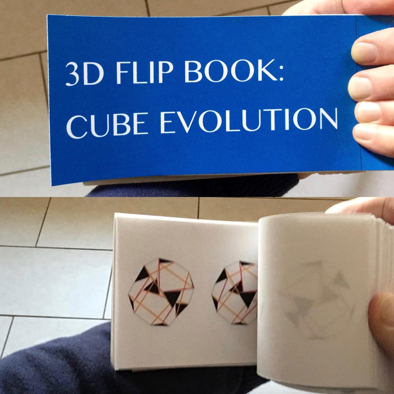 Image for entry '3D Flip Book: Cube Evolution'