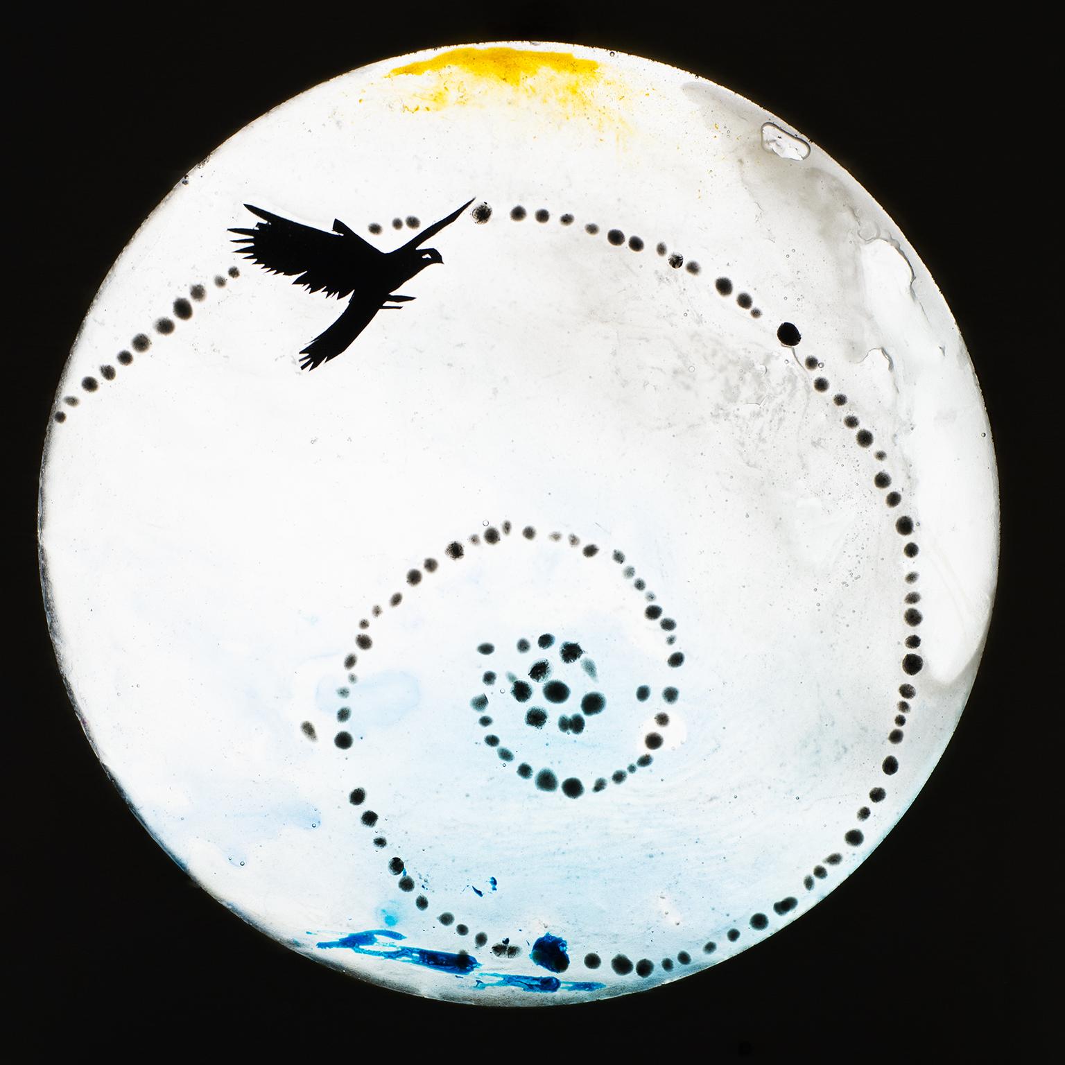 Image for entry 'Equiangular Falcon's Flight'