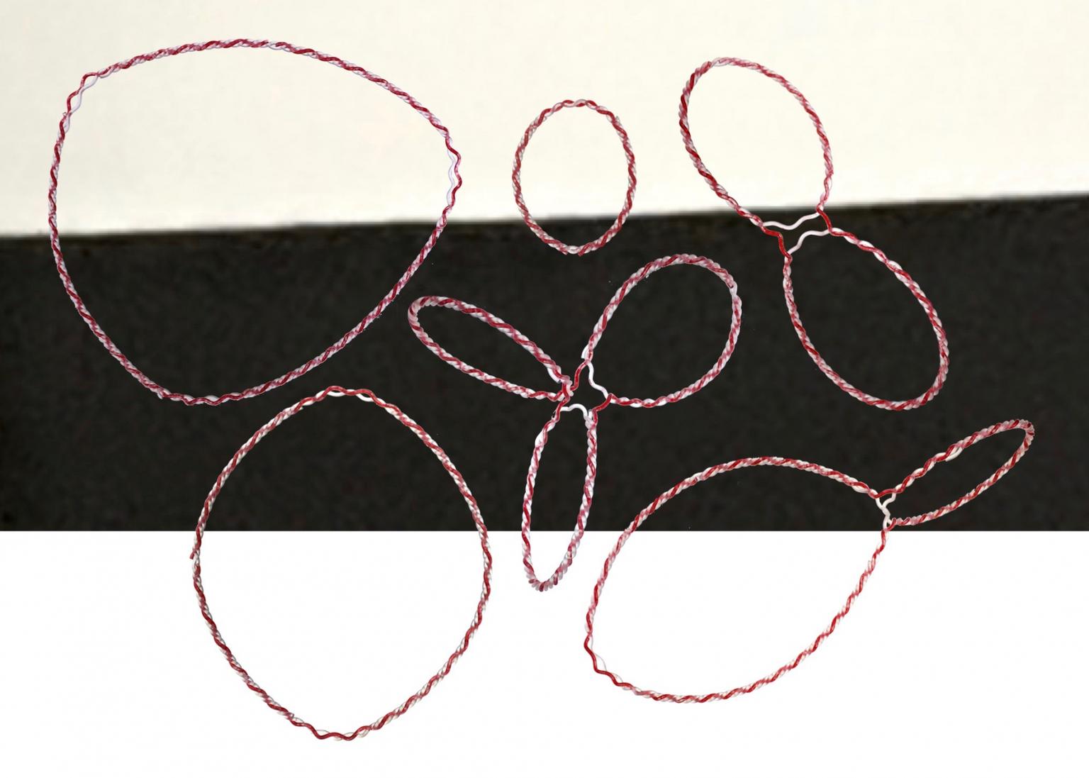 Image for entry 'Red Strands: Six genus-0 maps with non-crossing Eulerian circuits'